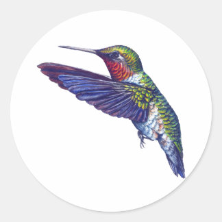 Ruby Throated Hummingbird Runder Aufkleber