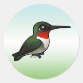 Ruby-throated Hummingbird Runder Aufkleber (Vorderseite)