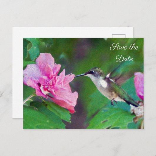 Ruby Throated Hummingbird Save the Date Postcard Ankündigungspostkarte (Vorne/Hinten)