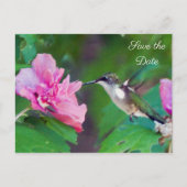 Ruby Throated Hummingbird Save the Date Postcard Ankündigungspostkarte (Vorderseite)