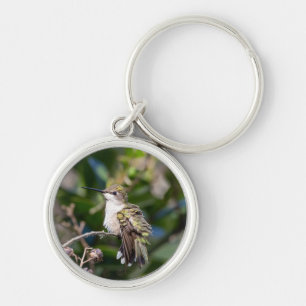 Ruby-Throated Hummingbird Schlüsselkette #4Q7A5304 Schlüsselanhänger