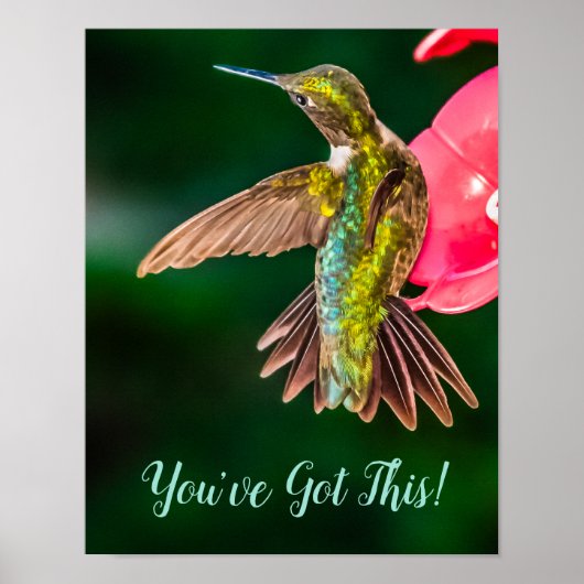 Ruby Throated Hummingbird Sie haben dieses Zitat G Poster (Vorne)