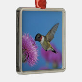 Ruby-throated Hummingbird Silbernes Ornament (Rechts)