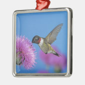 Ruby-throated Hummingbird Silbernes Ornament (Links)