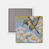 Ruby-Throated Hummingbird - Square Magnet (Vorderseite/Rückseite)
