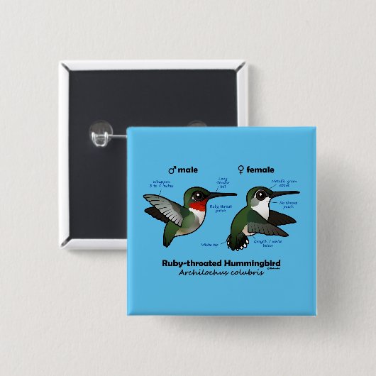 Ruby-throated Hummingbird Statistics Button (Vorne & Hinten)