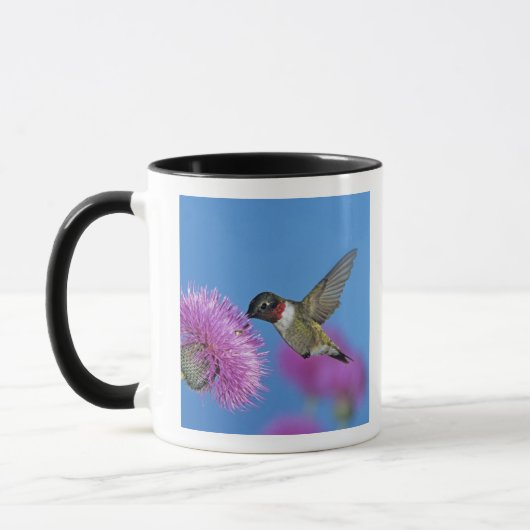 Ruby-throated Hummingbird Tasse (Links)