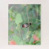 Ruby Throated Hummingbird, Vogelliebhaber Puzzle (Vertikal)