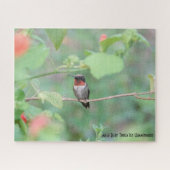 Ruby Throated Hummingbird, Vogelliebhaber Puzzle (Horizontal)