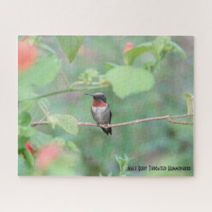 Ruby Throated Hummingbird, Vogelliebhaber Puzzle
