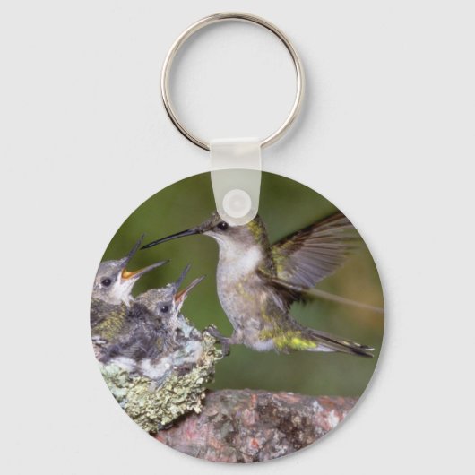 Ruby-throated Hummingbird (weiblich) with young Schlüsselanhänger (Vorderseite)