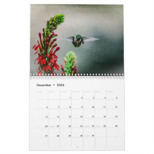 Ruby Throated Hummingbirds Kalender (Dez 2026)