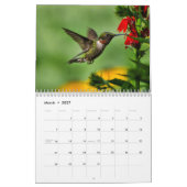 Ruby Throated Hummingbirds Kalender (Mär 2027)