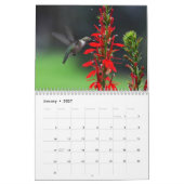 Ruby Throated Hummingbirds Kalender (Jan 2027)