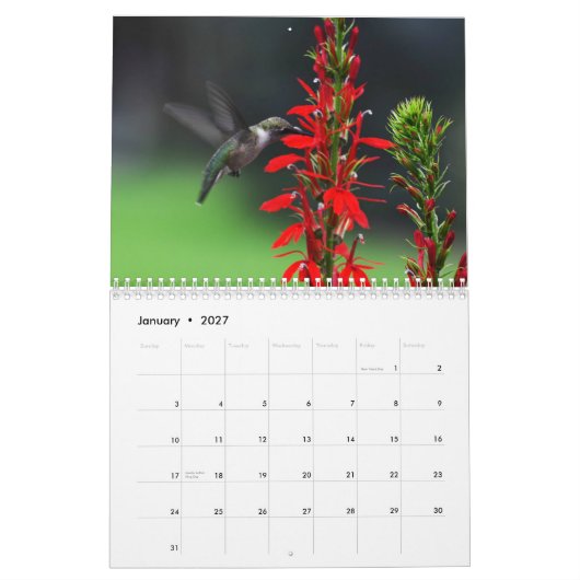 Ruby Throated Hummingbirds Kalender (Jan 2027)
