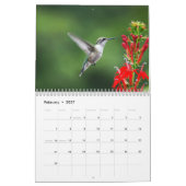 Ruby Throated Hummingbirds Kalender (Feb 2027)