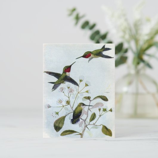Ruby-throated Hummingbirds Postkarte (Stehend Vorderseite)