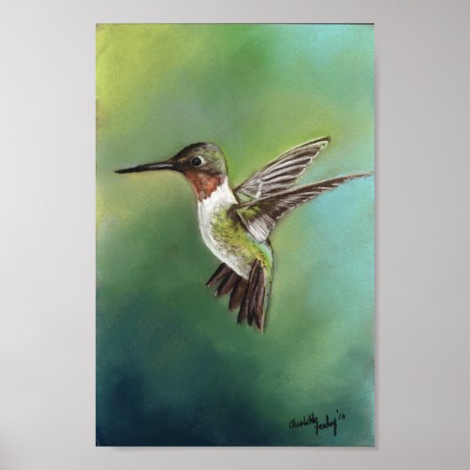 Ruby Throby Humming Bird Art Print Poster (Vorne)