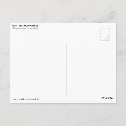 Ruby Topaz Hummingbird (Chrysolampis-Moskitus) Postkarte (Rückseite)