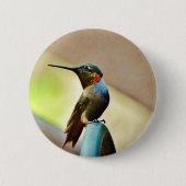 Ruby und Grüner kleiner Hummingbird Button (Vorderseite)