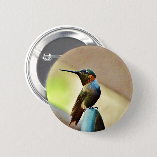 Ruby und Grüner kleiner Hummingbird Button (Vorne & Hinten)
