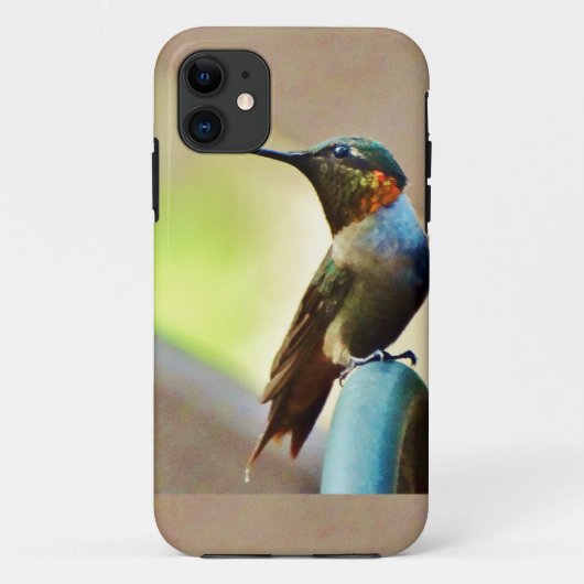 Ruby und Grüner kleiner Hummingbird Case-Mate iPhone Hülle (Rückseite)