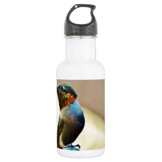 Ruby und Grüner kleiner Hummingbird Edelstahlflasche