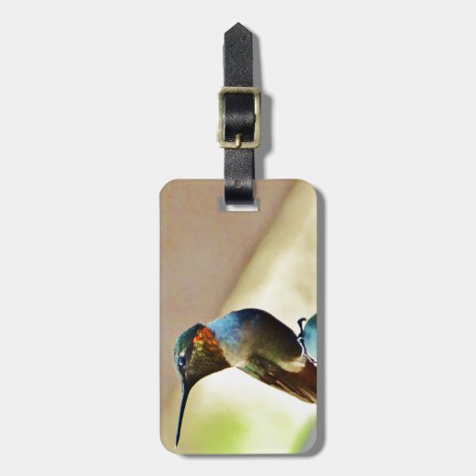 Ruby und Grüner kleiner Hummingbird Gepäckanhänger (Vorderseite vertikal)