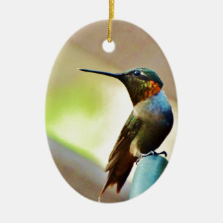 Ruby und Grüner kleiner Hummingbird Keramikornament