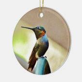 Ruby und Grüner kleiner Hummingbird Keramikornament (Links)