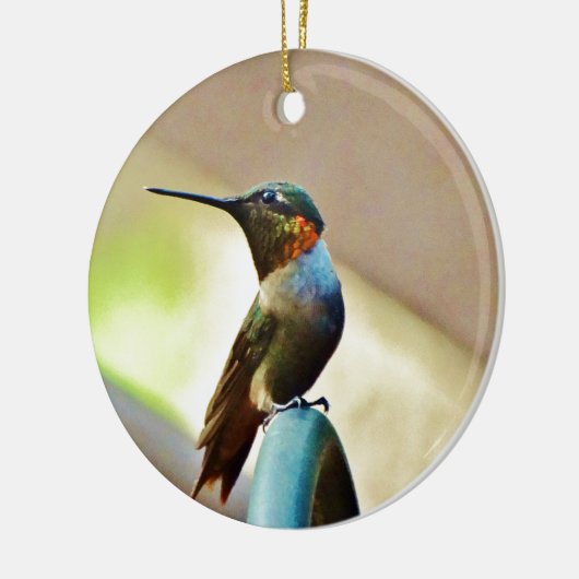 Ruby und Grüner kleiner Hummingbird Keramikornament (Links)