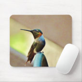 Ruby und Grüner kleiner Hummingbird Mousepad (Mit Mouse)