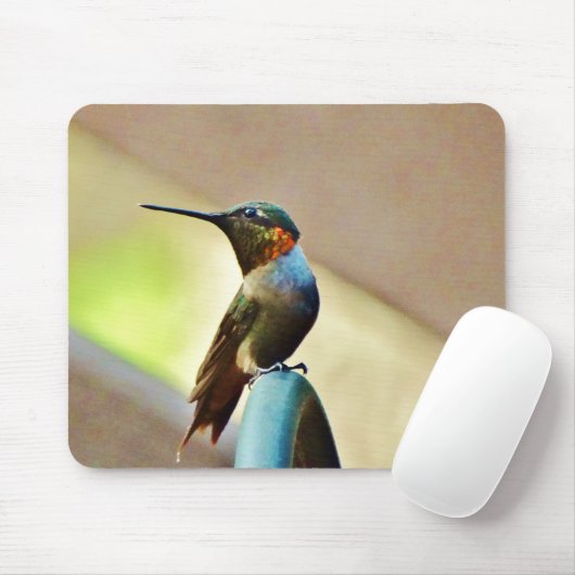 Ruby und Grüner kleiner Hummingbird Mousepad (Mit Mouse)