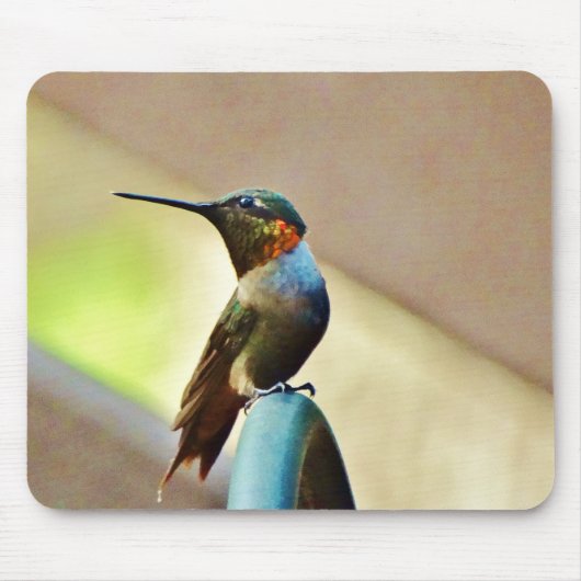 Ruby und Grüner kleiner Hummingbird Mousepad (Vorne)