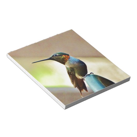 Ruby und Grüner kleiner Hummingbird Notizblock (angewinkelt)