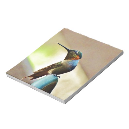 Ruby und Grüner kleiner Hummingbird Notizblock (Rotiert)