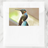 Ruby und Grüner kleiner Hummingbird Rechteckiger Aufkleber (Tasche)