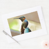 Ruby und Grüner kleiner Hummingbird Rechteckiger Aufkleber (Umschlag)