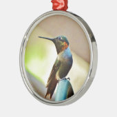 Ruby und Grüner kleiner Hummingbird Silbernes Ornament (Links)