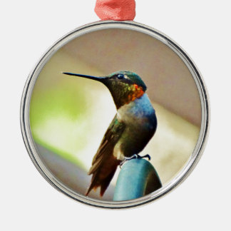 Ruby und Grüner kleiner Hummingbird Silbernes Ornament