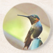 Ruby und Grüner kleiner Hummingbird Untersetzer (Vorne)