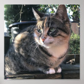 Ruby's Mamma, Mrs. Ribby Poster (Vorne)