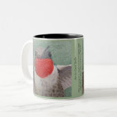 Rubythroat Kolibri Zweifarbige Tasse (Vorderseite Links)