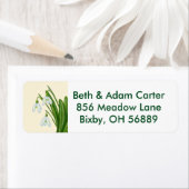 Rückadressschild für Snowdrops (Insitu)