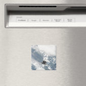 Rückansicht der drei wichtigsten Motor Magnet (In Situ (Geschirrspüler))