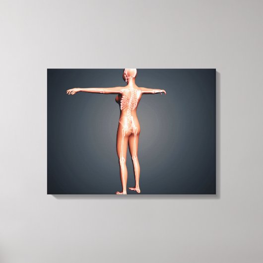 Rückansicht des weiblichen Körpers mit Skelettsyst Leinwanddruck (Vorderseite)