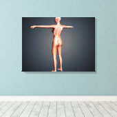 Rückansicht des weiblichen Körpers mit Skelettsyst Leinwanddruck (Insitu (Holzboden))