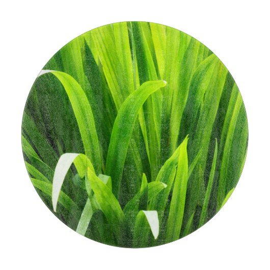 Rückbeleuchtete Blätter im Garten Schneidebrett (Vorderseite)