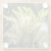 Rückbeleuchtete Palmen Glasuntersetzer (Rückseite)