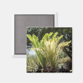 Rückbeleuchtete Palmen Magnet (Vorderseite/Rückseite)